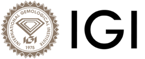 logo_IGI